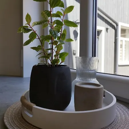 Courtyard Twin Apartment